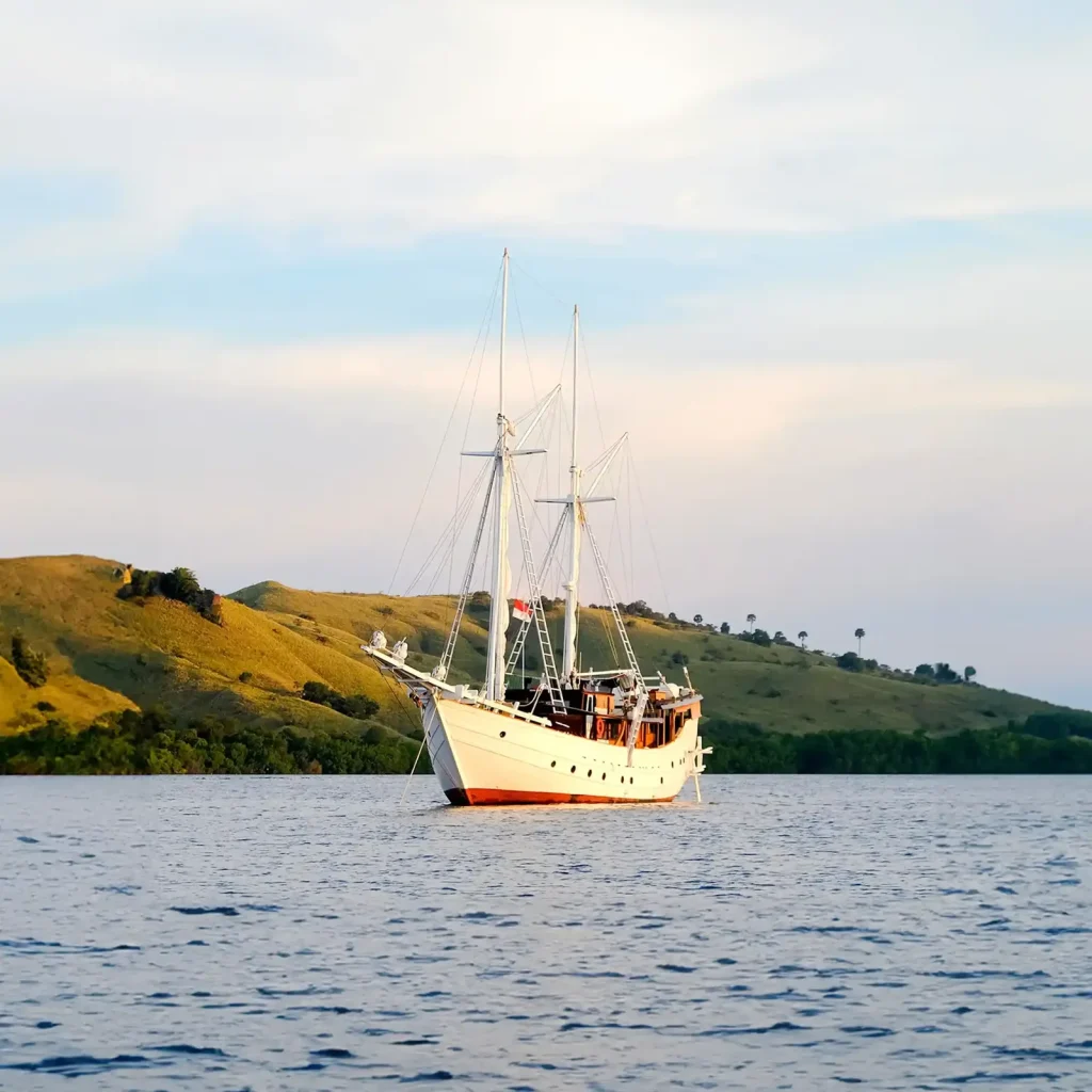 Jakare — Best Liveaboard Indonesia network photo