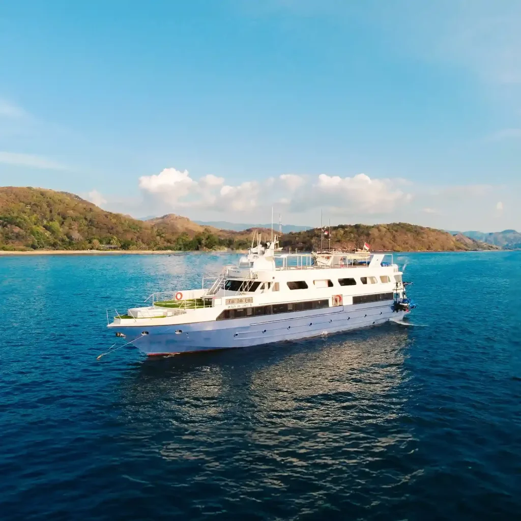 Ocean Angel — Best Liveaboard Indonesia network photo