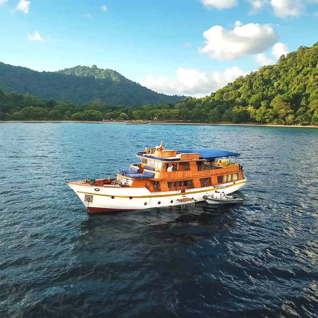 Magia Ii — Best Liveaboard Indonesia network photo