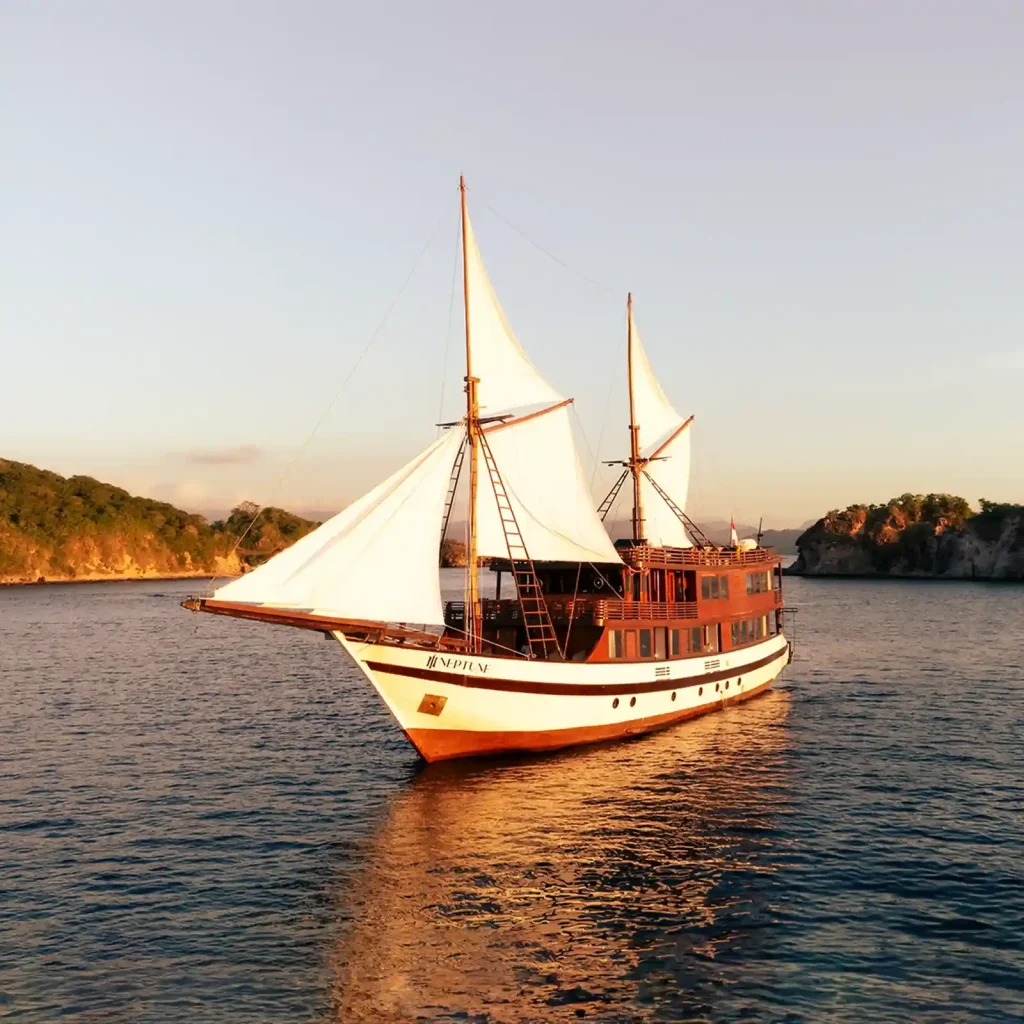 Neptune — Best Liveaboard Indonesia network photo
