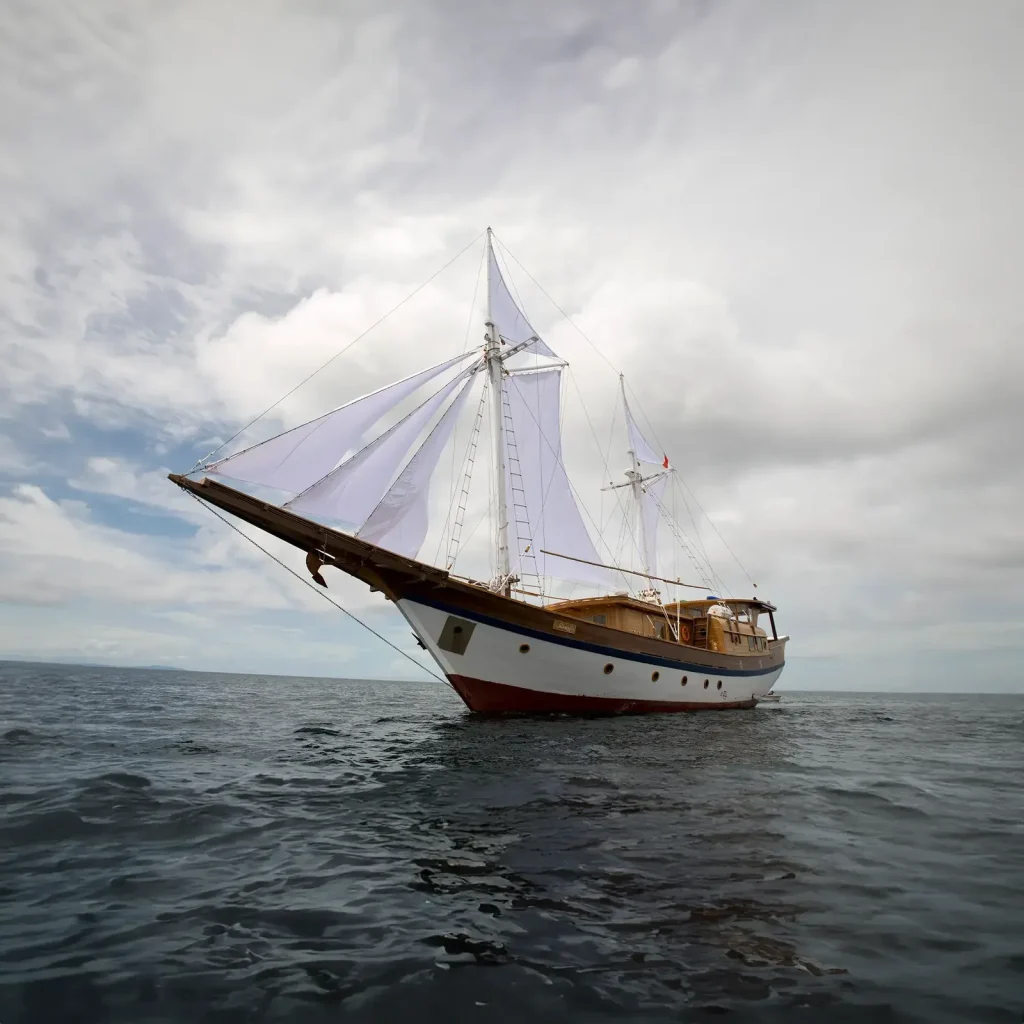 Leyla — Best Liveaboard Indonesia network photo