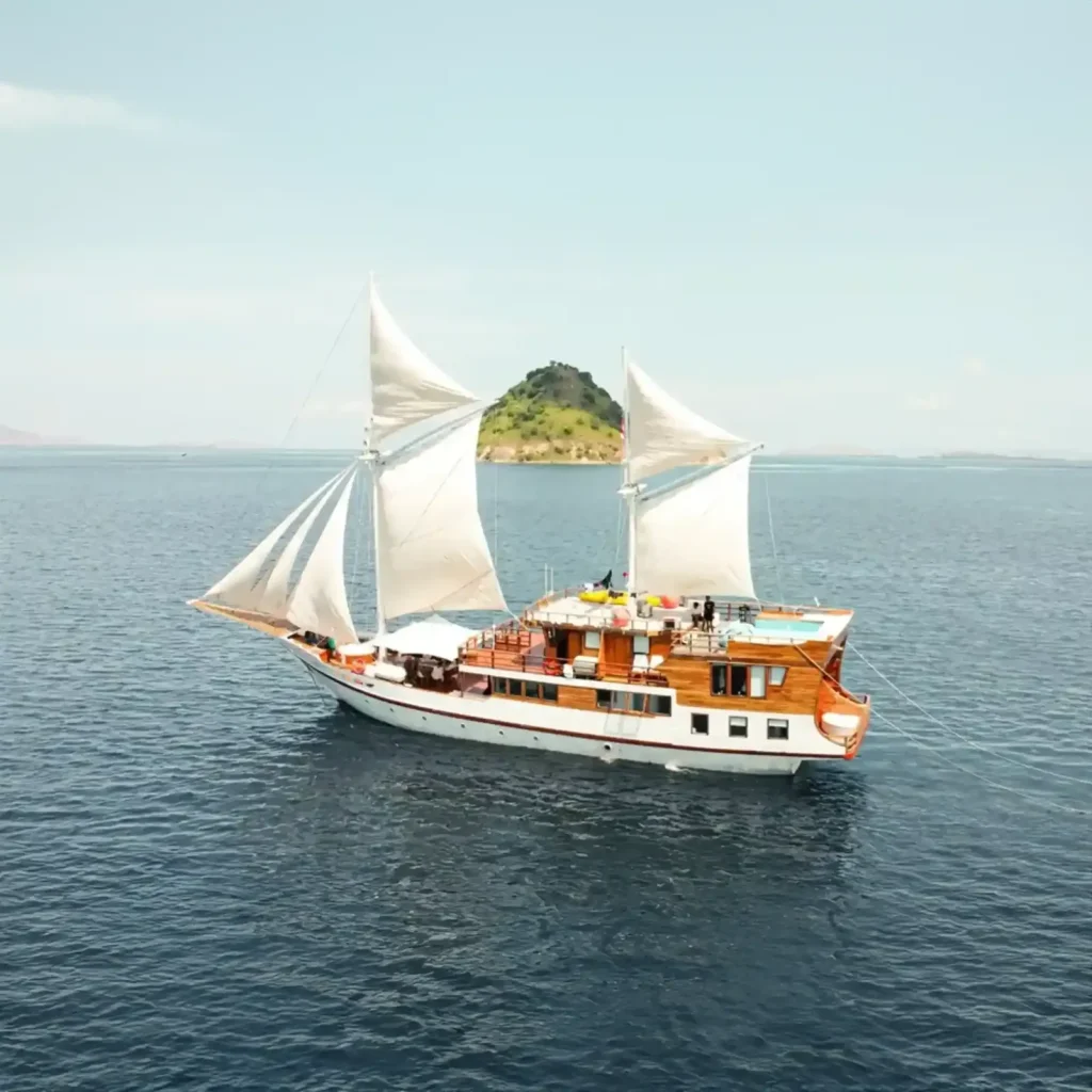 Lady Grace — Best Liveaboard Indonesia network photo