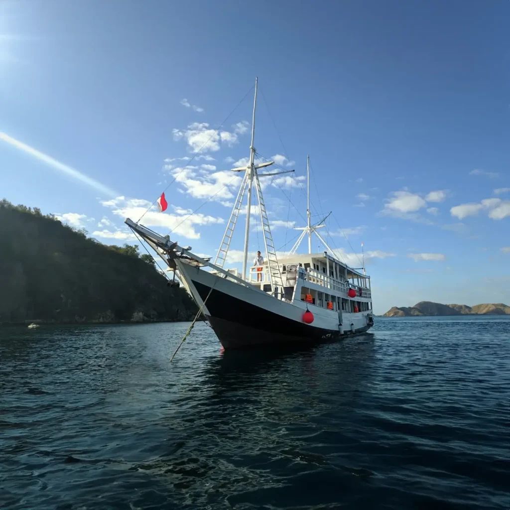 Rafida — Best Liveaboard Indonesia network photo